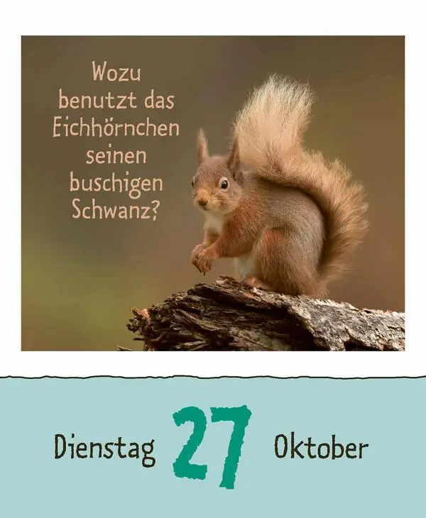 Bild: 9783731889199 | Wie faul ist das Faultier? 2026 | Verlag Korsch | Kalender | 328 S.