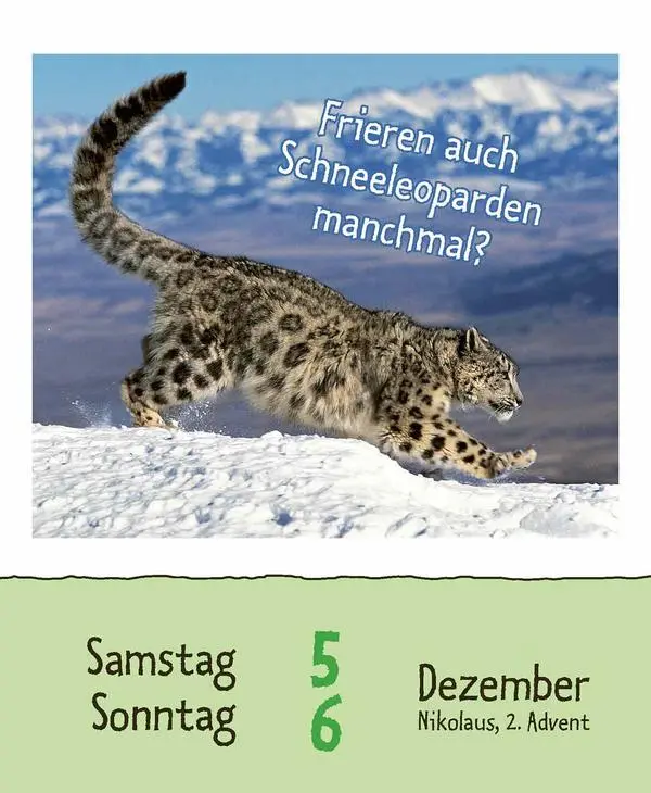 Bild: 9783731889199 | Wie faul ist das Faultier? 2026 | Verlag Korsch | Kalender | 328 S.