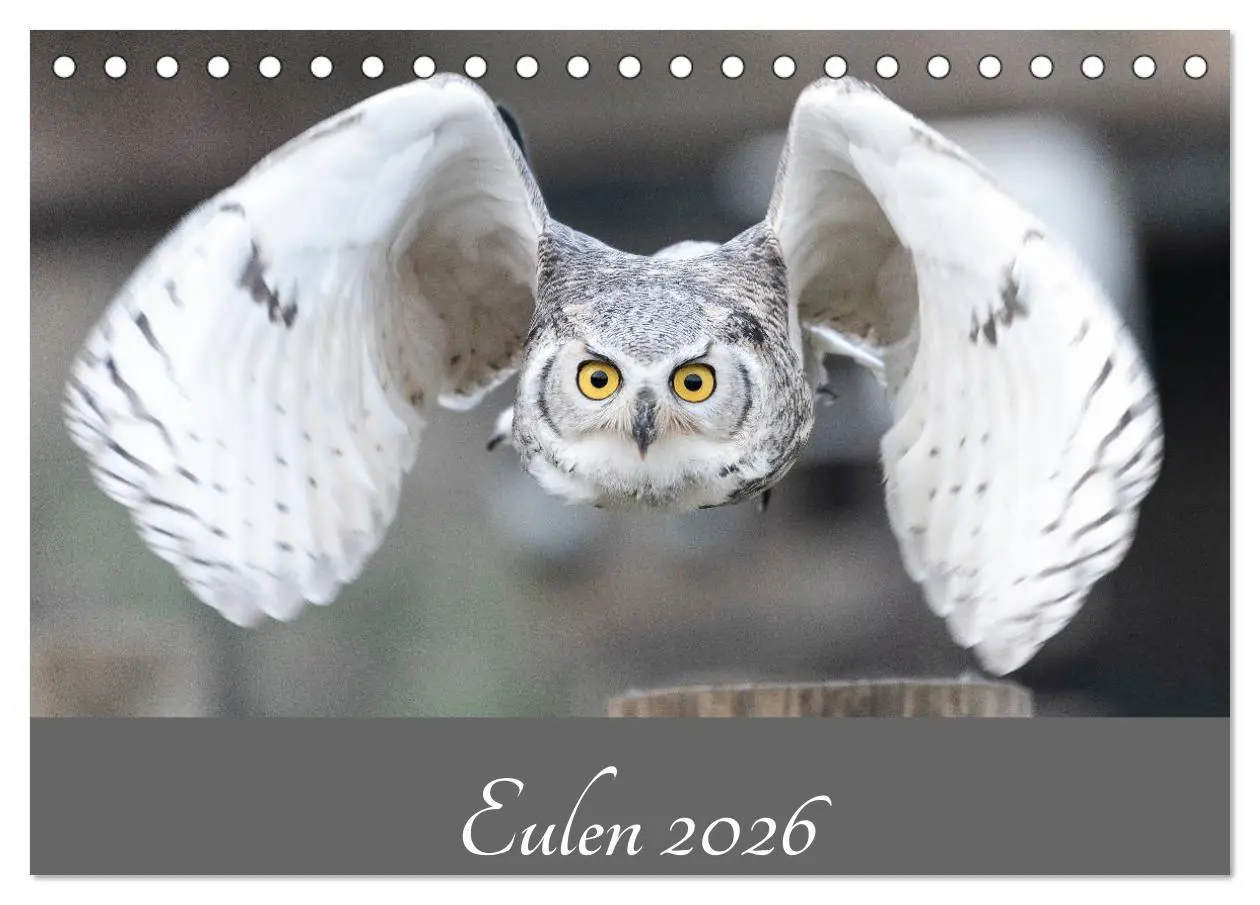 Cover: 9783457719299 | Eulen 2026 (Tischkalender 2026 DIN A5 quer), CALVENDO Monatskalender