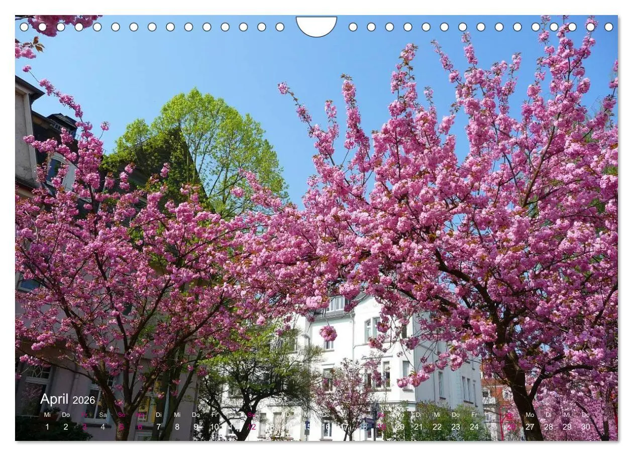 Bild: 9783457959299 | Marburg 2026 (Wandkalender 2026 DIN A4 quer), CALVENDO Monatskalender