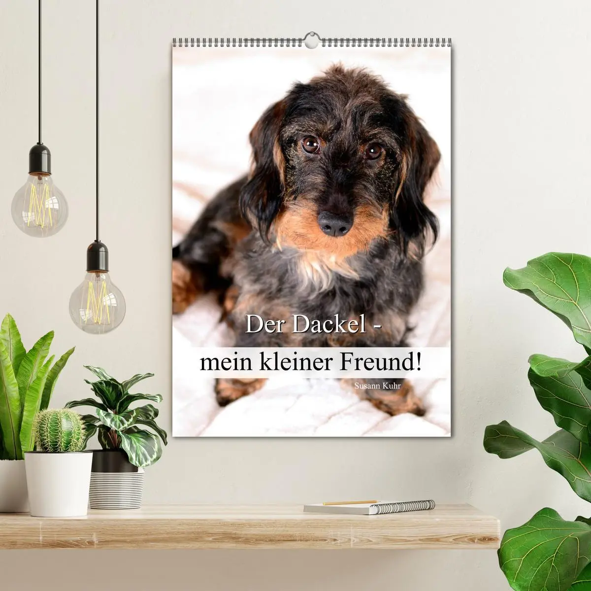 Bild: 9783516429299 | Der Dackel - mein kleiner Freund (Wandkalender 2026 DIN A2 hoch),...