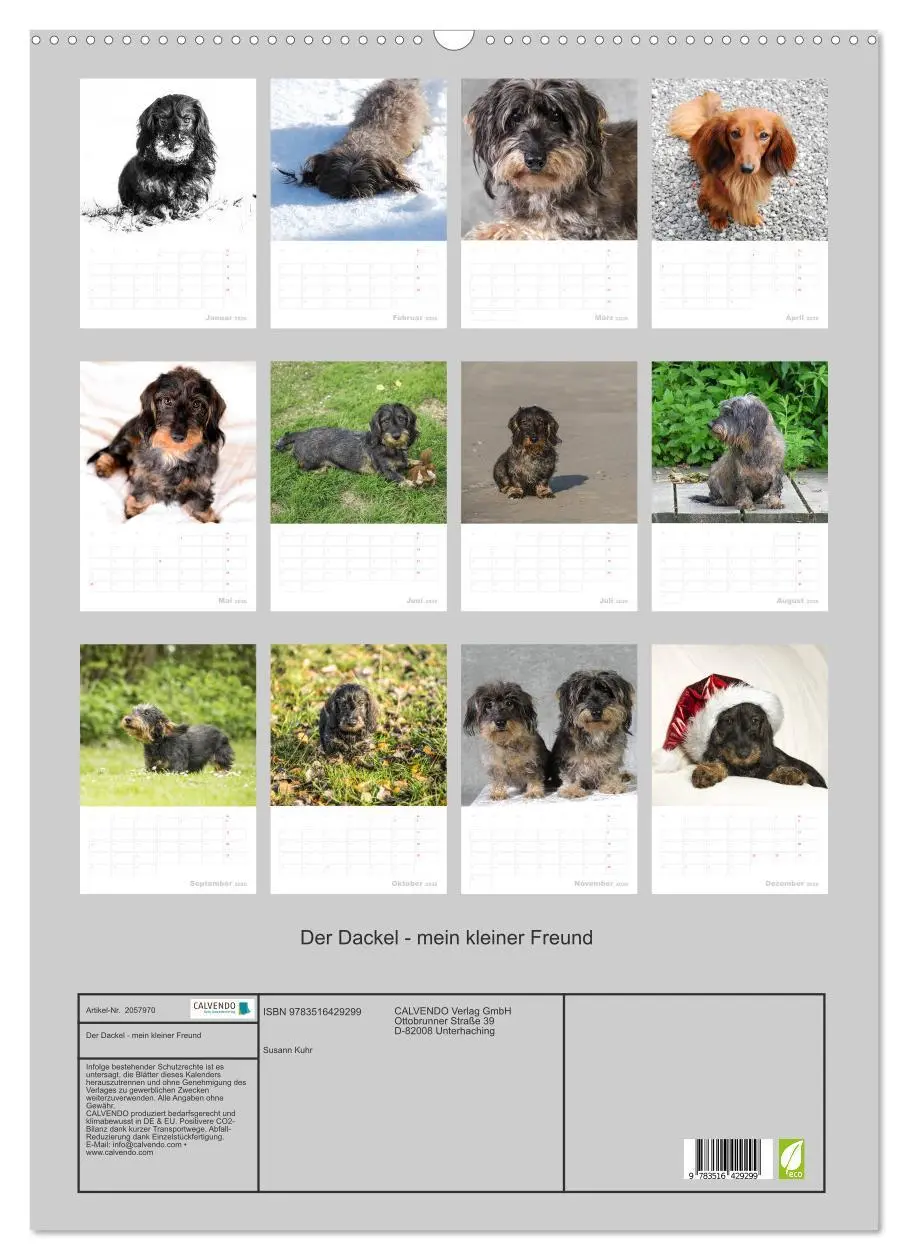 Bild: 9783516429299 | Der Dackel - mein kleiner Freund (Wandkalender 2026 DIN A2 hoch),...