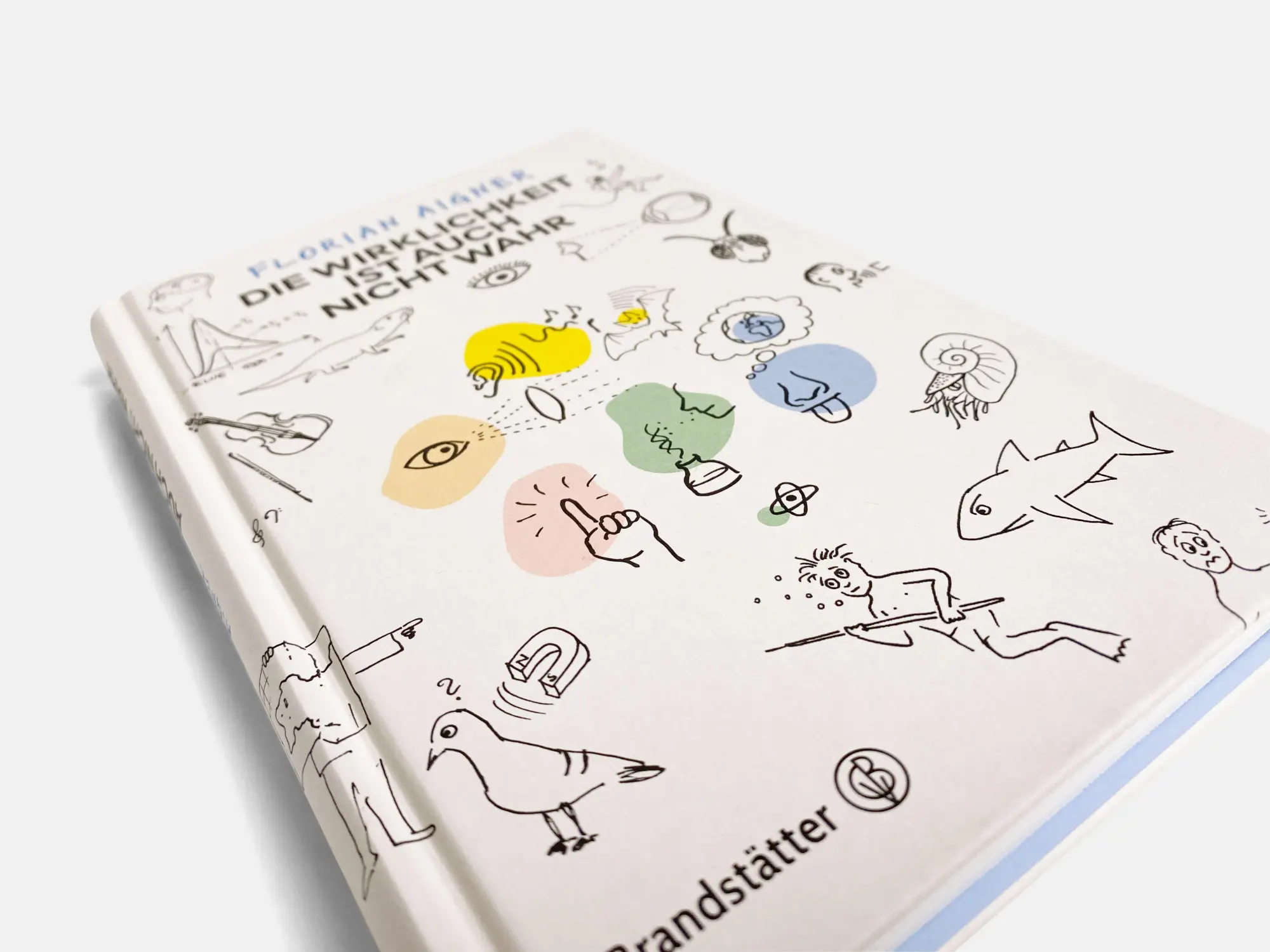 Bild: 9783710609299 | Die Wirklichkeit ist auch nicht wahr | Florian Aigner | Buch | 216 S.