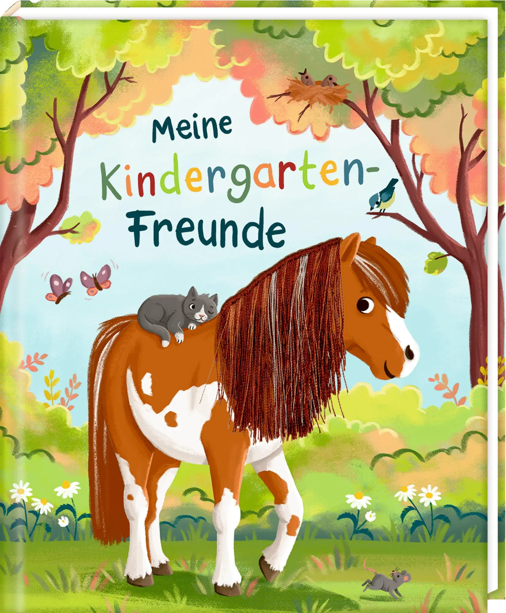 Cover: 4050003959399 | Freundebuch - Meine Kindergarten-Freunde | mit Ponymähne | Teichmann