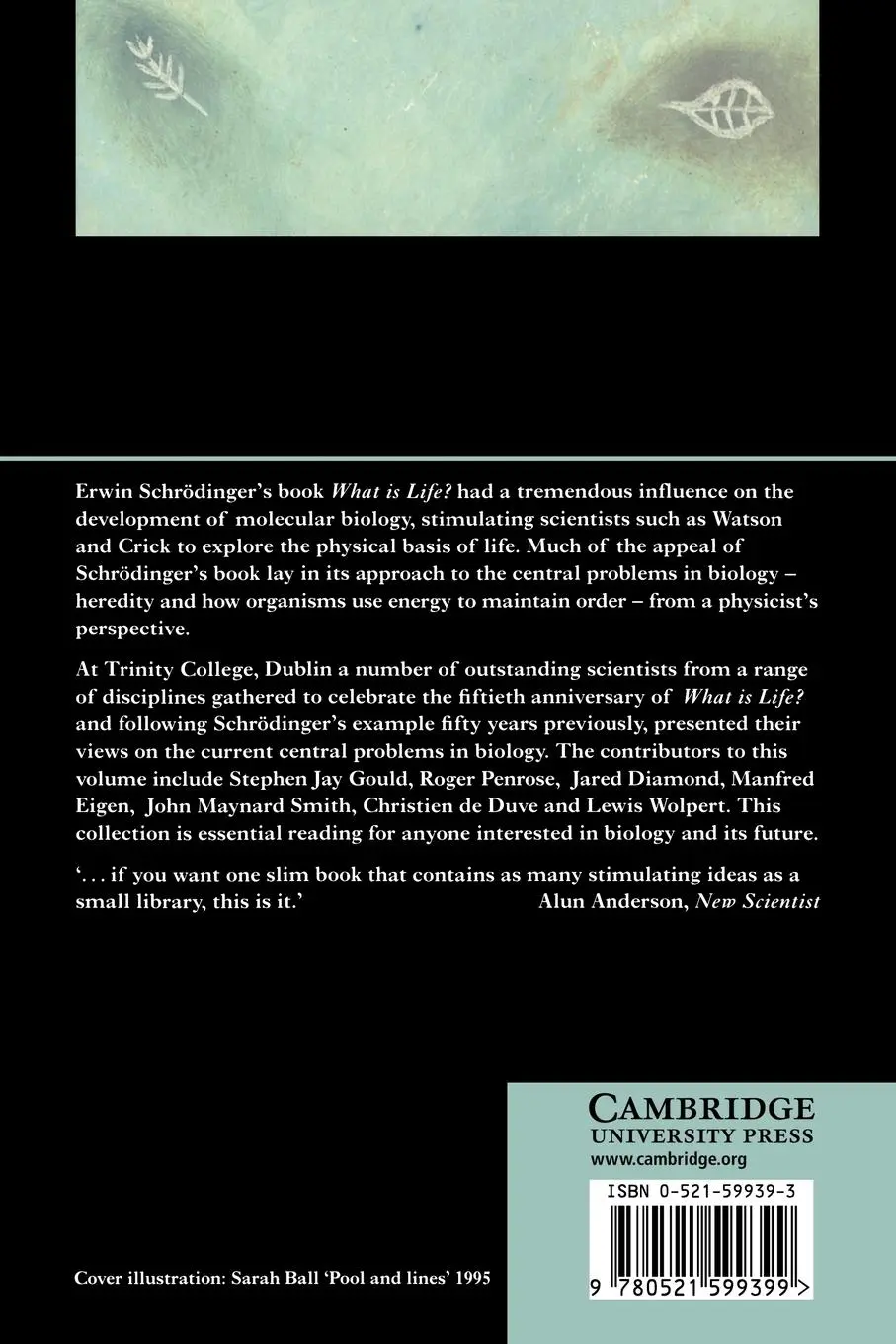 Rückseite: 9780521599399 | What Is Life? the Next Fifty Years | Michael P. Murphy (u. a.) | Buch