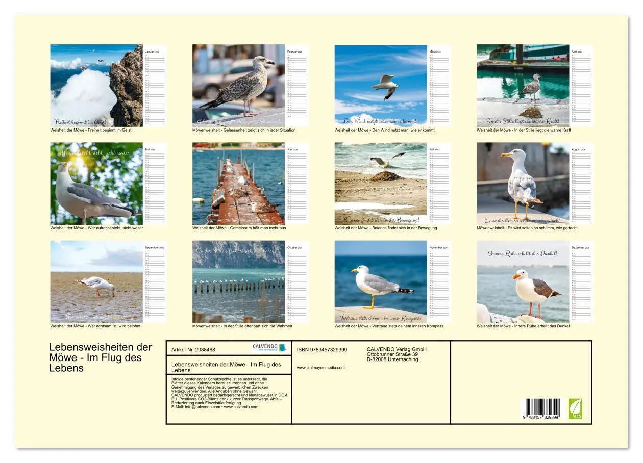 Bild: 9783457329399 | Lebensweisheiten der Möwe - Im Flug des Lebens (Wandkalender 2026...