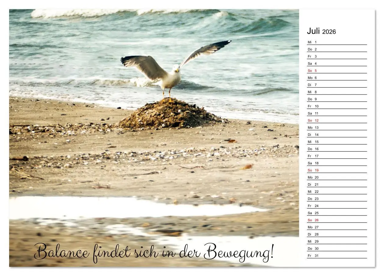 Bild: 9783457329399 | Lebensweisheiten der Möwe - Im Flug des Lebens (Wandkalender 2026...