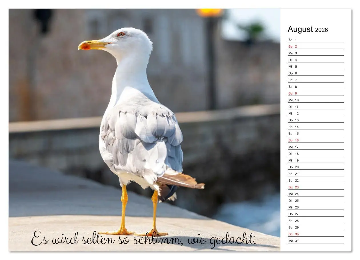 Bild: 9783457329399 | Lebensweisheiten der Möwe - Im Flug des Lebens (Wandkalender 2026...