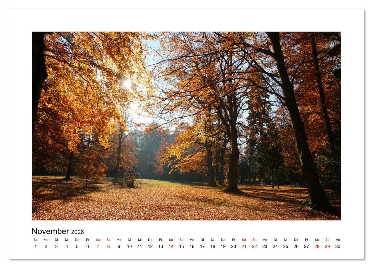 Bild: 9783457879399 | Zauberhafte Landschaften im Odenwald (Wandkalender 2026 DIN A4...