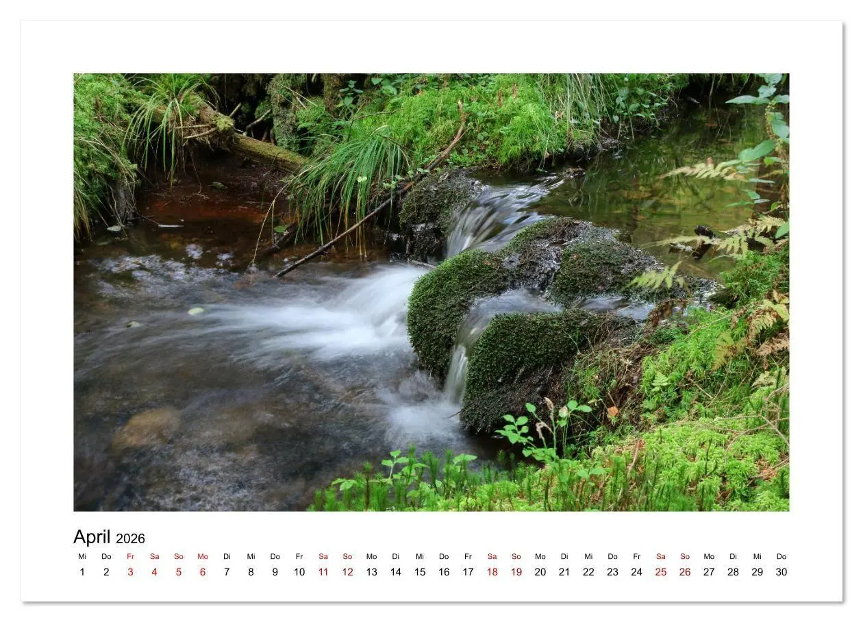 Bild: 9783457879399 | Zauberhafte Landschaften im Odenwald (Wandkalender 2026 DIN A4...