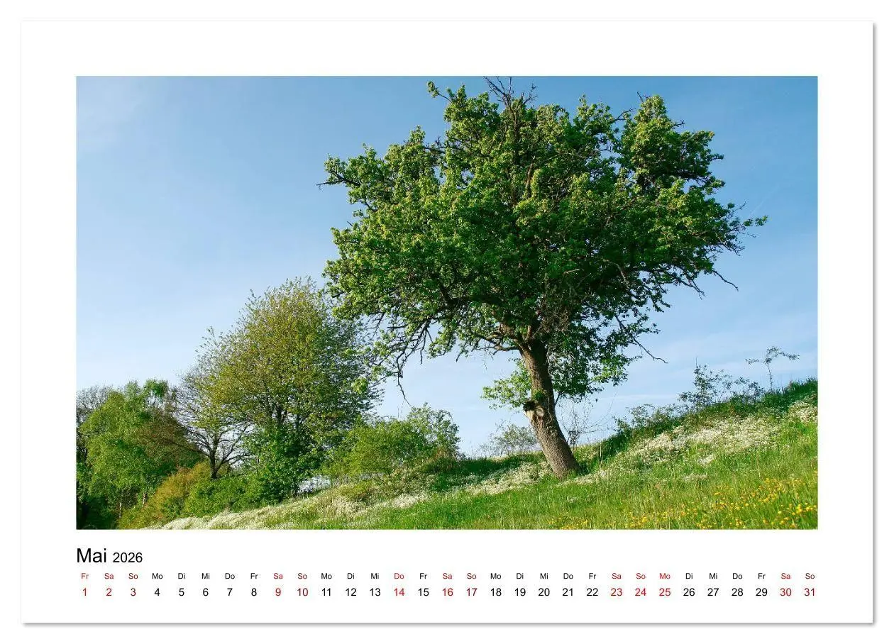 Bild: 9783457879399 | Zauberhafte Landschaften im Odenwald (Wandkalender 2026 DIN A4...