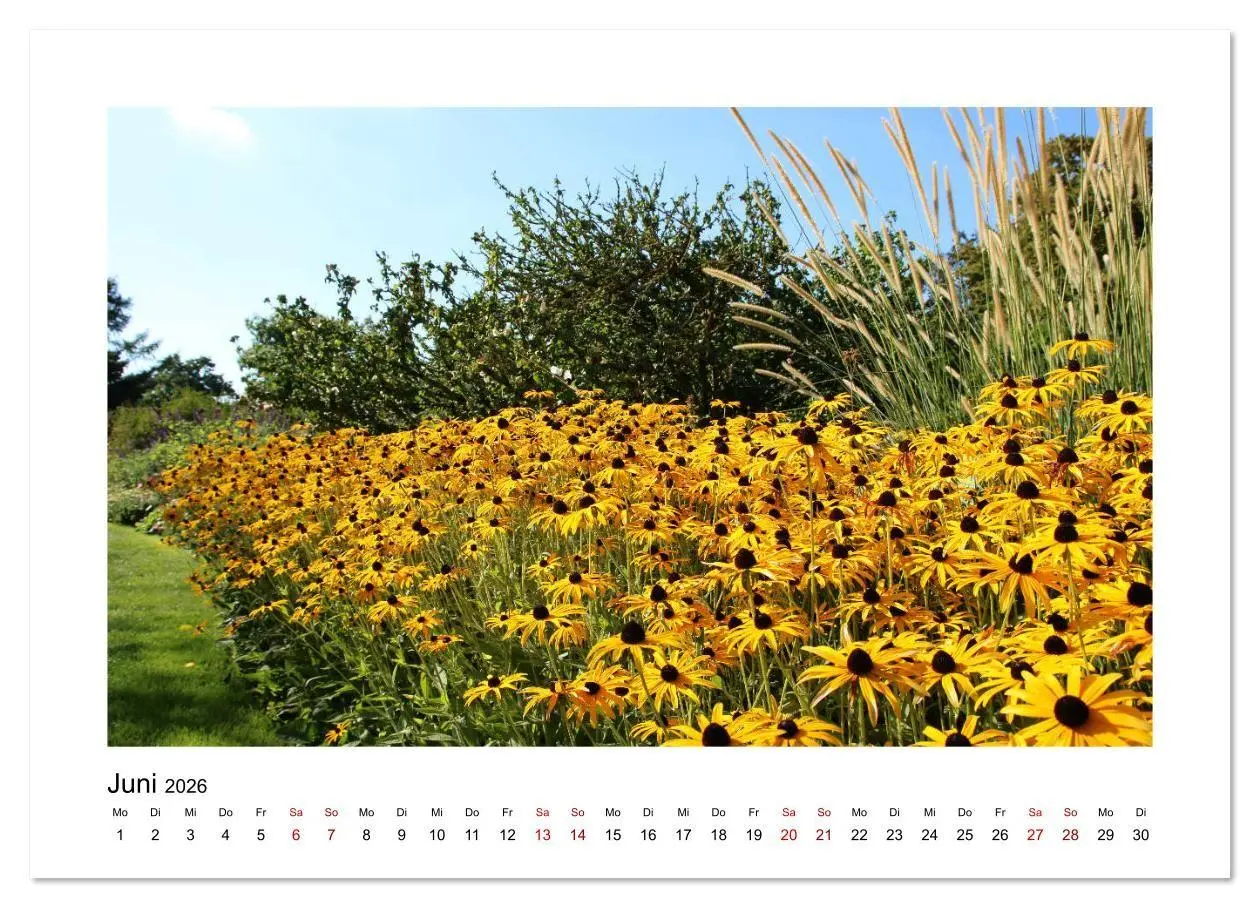Bild: 9783457879399 | Zauberhafte Landschaften im Odenwald (Wandkalender 2026 DIN A4...