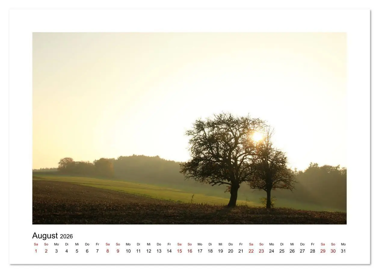 Bild: 9783457879399 | Zauberhafte Landschaften im Odenwald (Wandkalender 2026 DIN A4...
