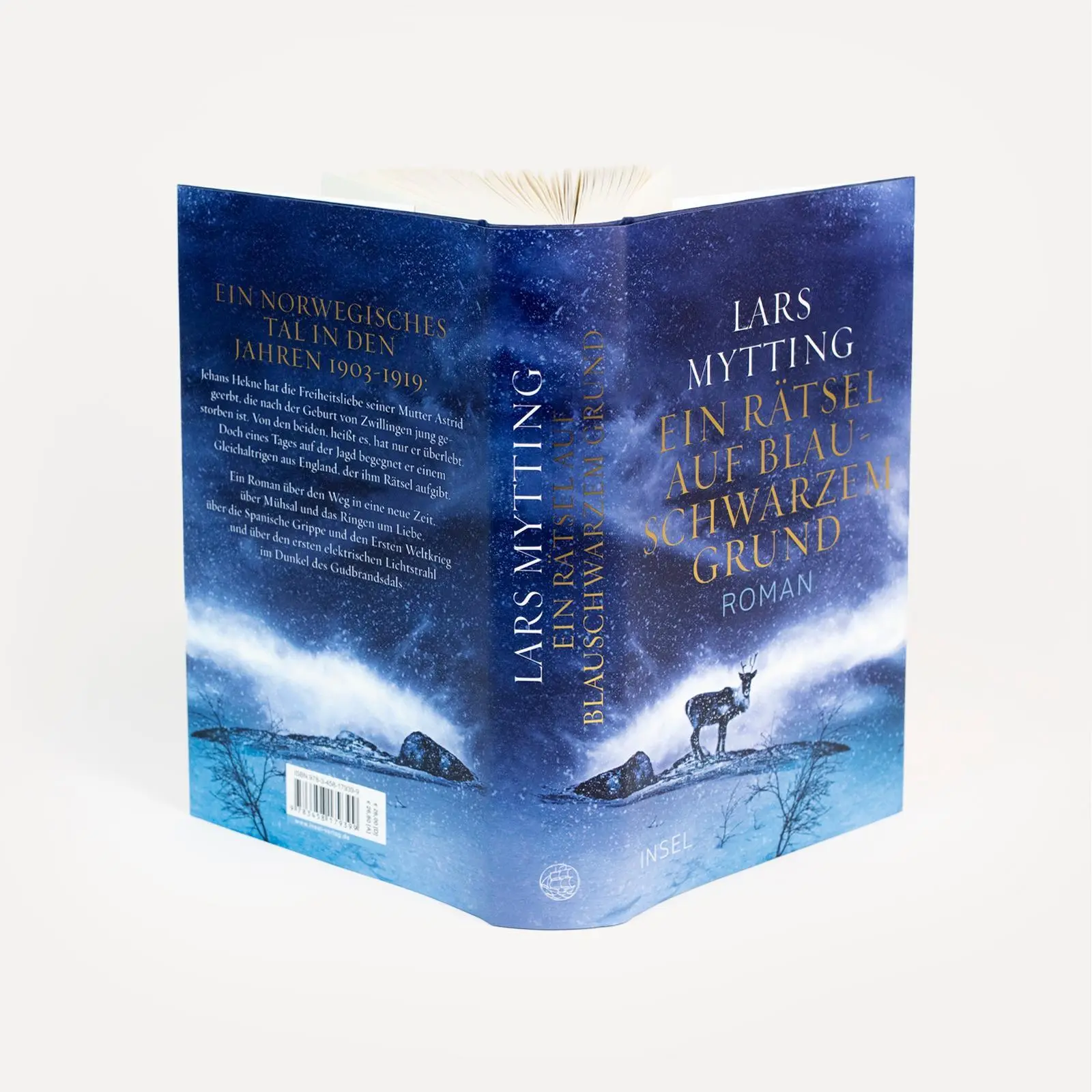 Bild: 9783458179399 | Ein Rätsel auf blauschwarzem Grund | Roman | Lars Mytting | Buch