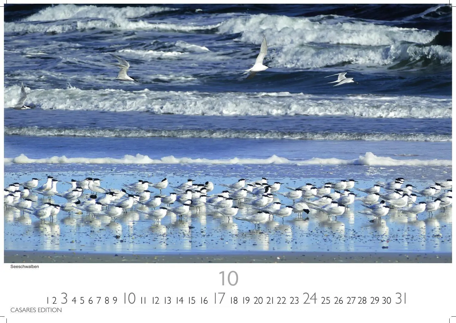 Bild: 9781835249499 | Nordseeküste Kalender 2027 - Wandkalender Fotokalender Deutschland...