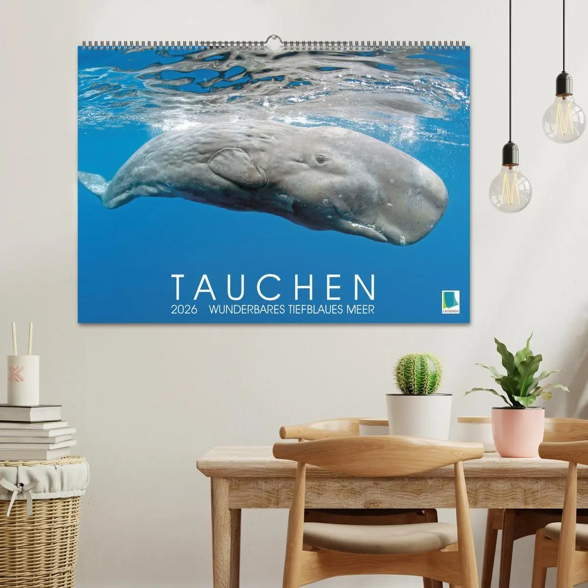 Bild: 9783457489499 | Tauchen: Wunderbares tiefblaues Meer (Wandkalender 2026 DIN A2...