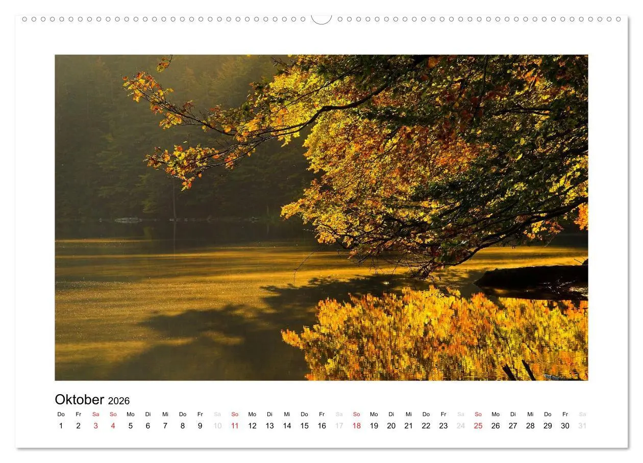 Bild: 9783516199499 | Schwarzwald 2026 (hochwertiger Premium Wandkalender 2026 DIN A2...