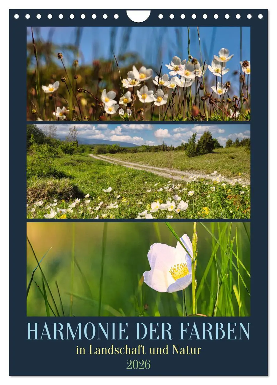 Cover: 9783516269499 | Harmonie der Farben in Landschaft und Natur (Wandkalender 2026 DIN...
