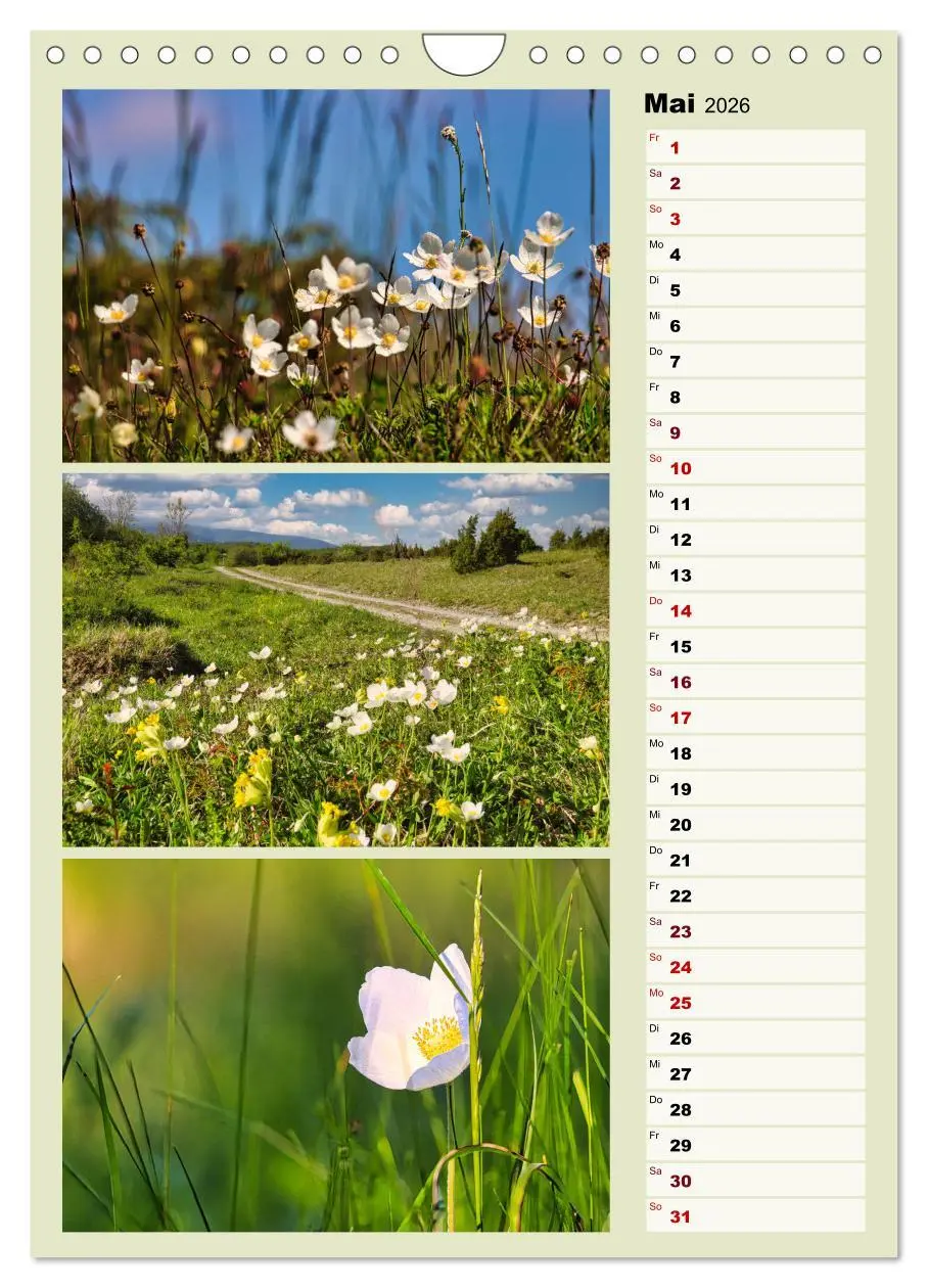 Bild: 9783516269499 | Harmonie der Farben in Landschaft und Natur (Wandkalender 2026 DIN...