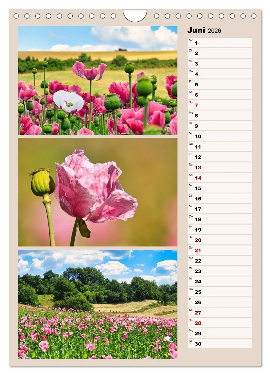 Bild: 9783516269499 | Harmonie der Farben in Landschaft und Natur (Wandkalender 2026 DIN...
