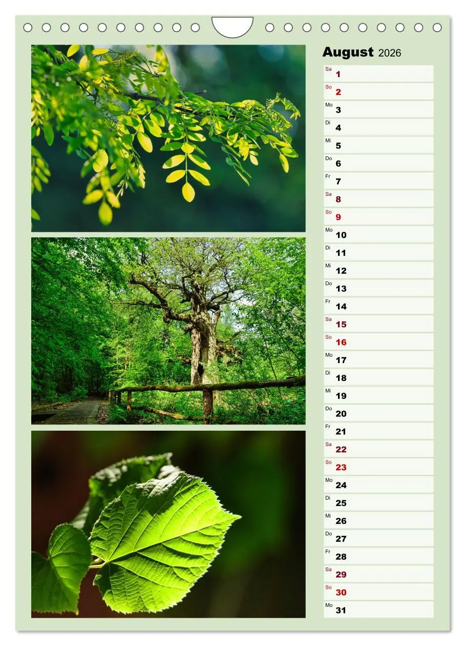 Bild: 9783516269499 | Harmonie der Farben in Landschaft und Natur (Wandkalender 2026 DIN...