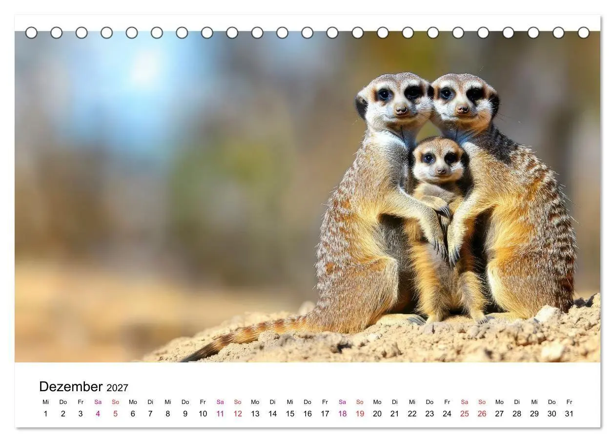 Bild: 9783516959499 | Erdmännchen - klein, frech, neugierig (Tischkalender 2027 DIN A5...