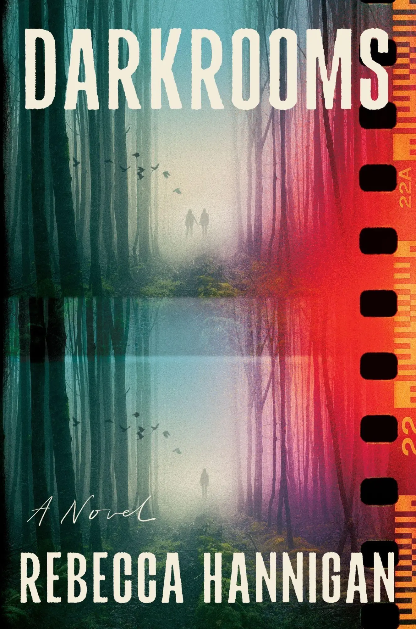 Cover: 9780063419599 | Darkrooms | A Novel | Rebecca Hannigan | Buch | Englisch | 2026