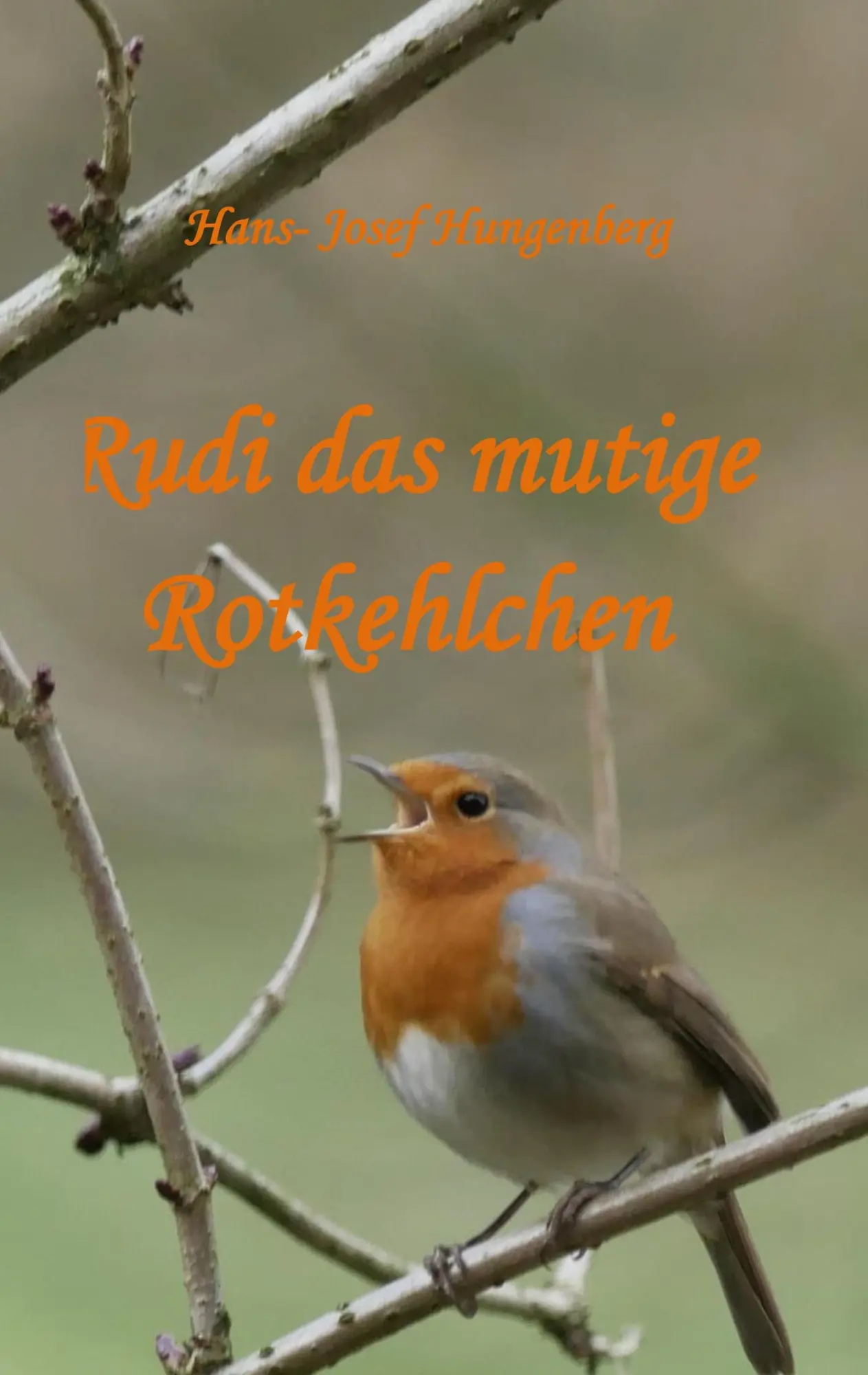 Cover: 9783750419599 | Rudi das mutige Rotkehlchen | Hans-Josef Hungenberg | Taschenbuch