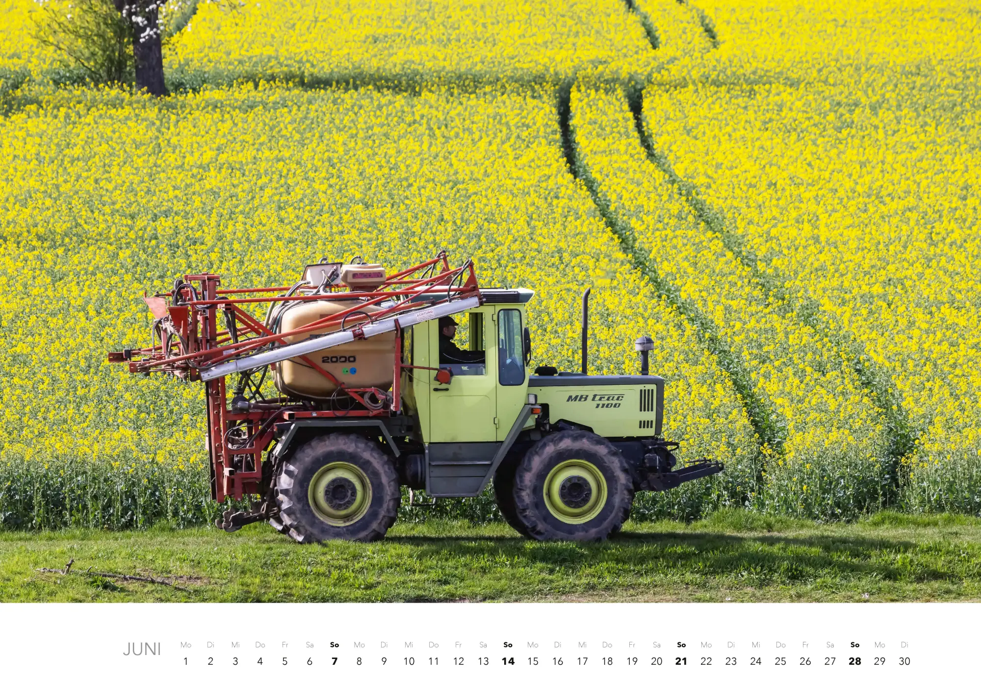 Bild: 9783966649599 | Faszination Landmaschinen Kalender 2026 | Johannes Reh | Kalender