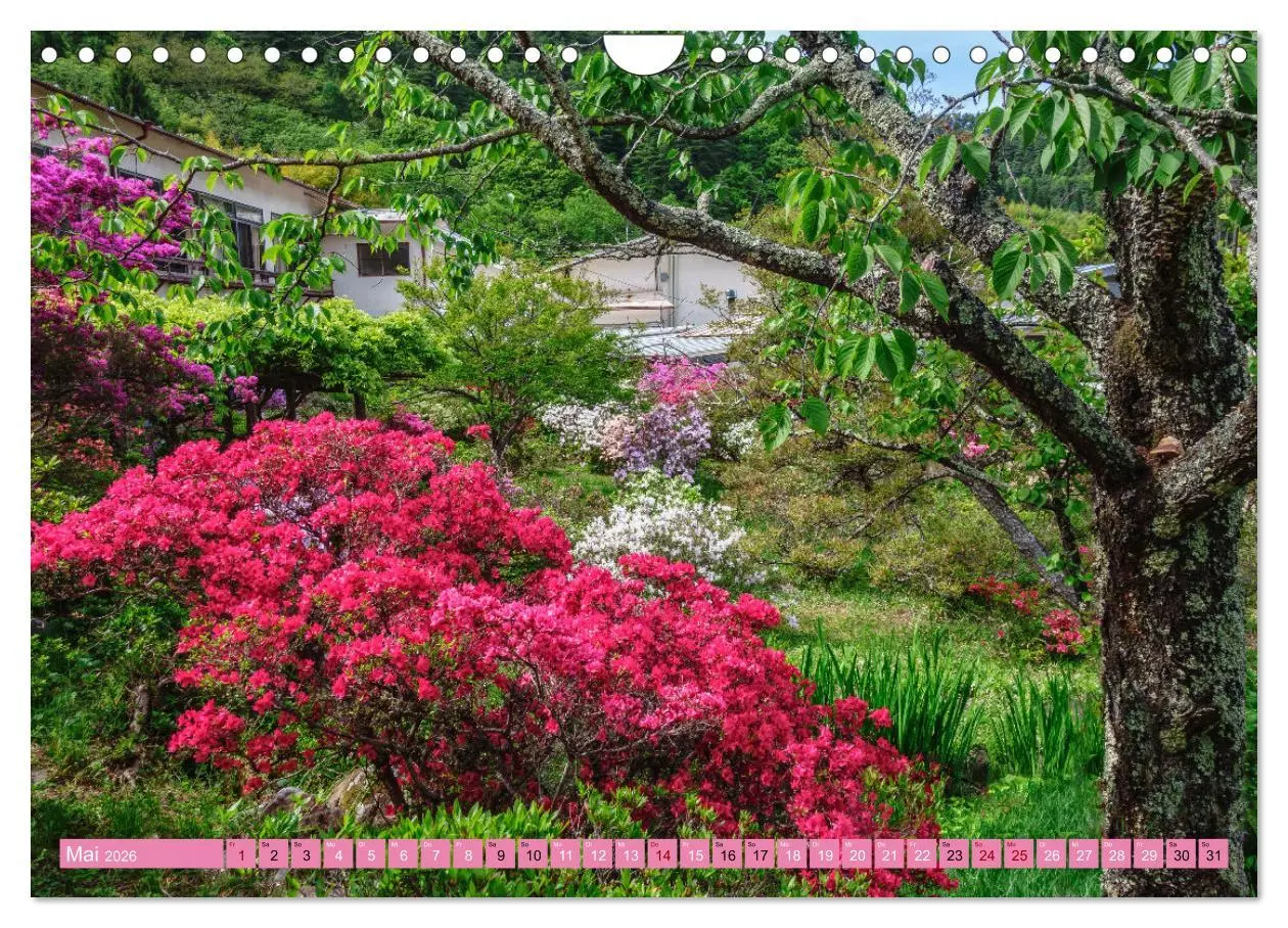 Bild: 9783457539699 | Japan - Land der Vielfalt (Wandkalender 2026 DIN A4 quer), CALVENDO...