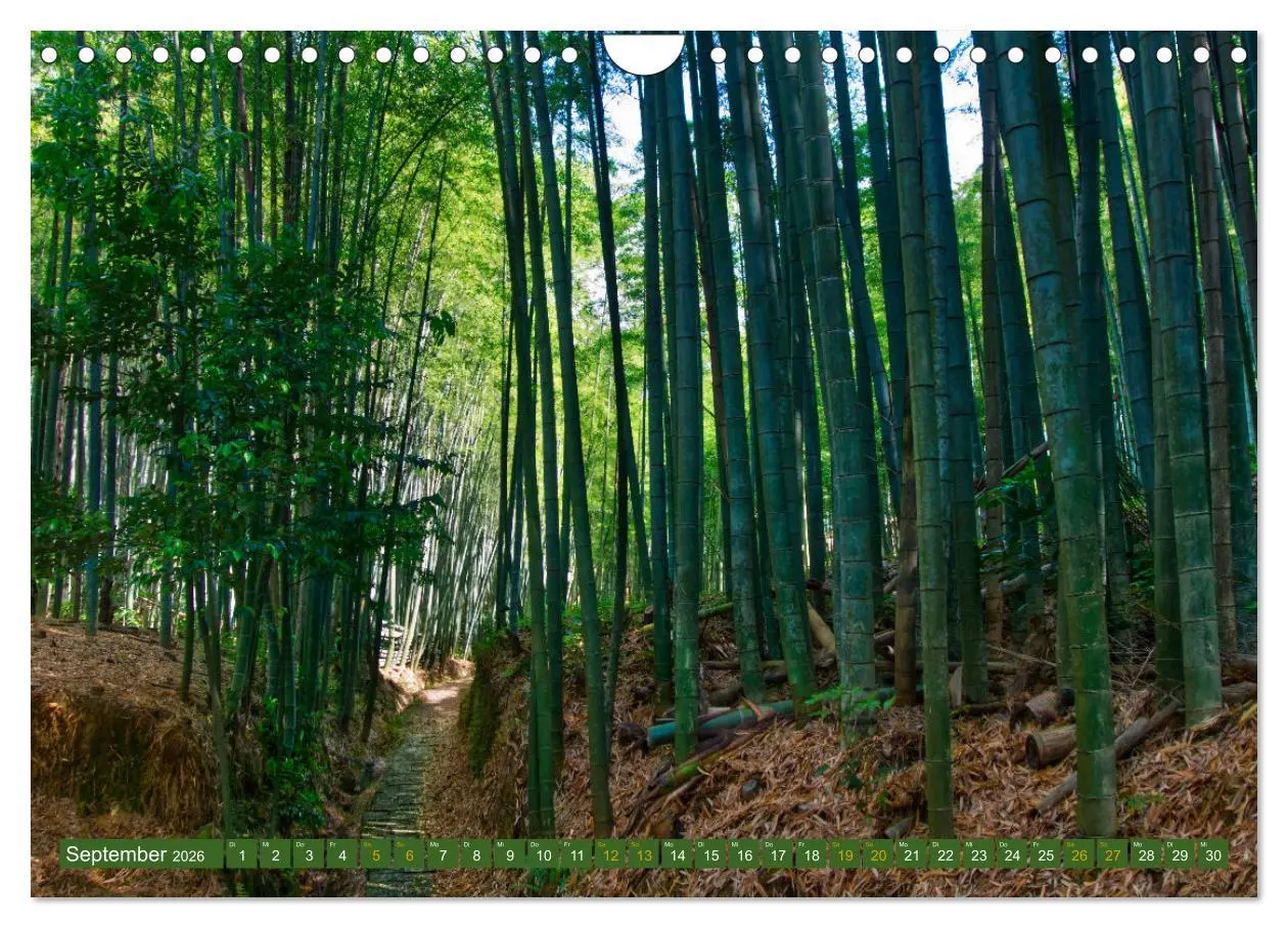 Bild: 9783457539699 | Japan - Land der Vielfalt (Wandkalender 2026 DIN A4 quer), CALVENDO...