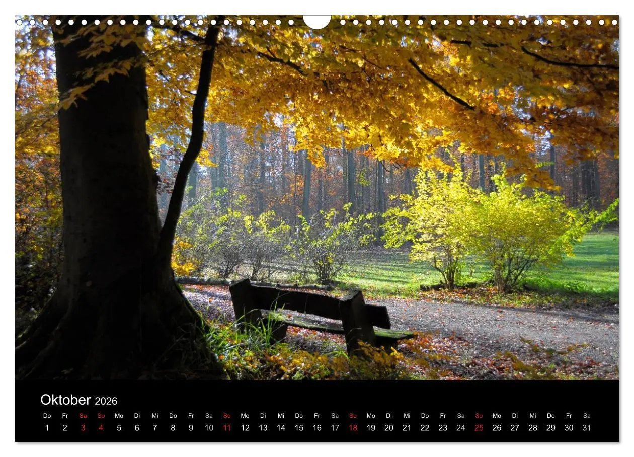 Bild: 9783516179699 | Wege 2026 (Wandkalender 2026 DIN A3 quer), CALVENDO Monatskalender