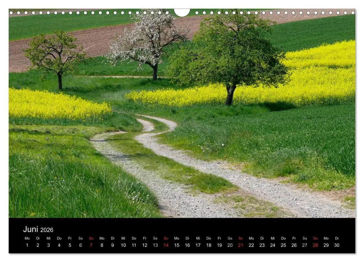 Bild: 9783516179699 | Wege 2026 (Wandkalender 2026 DIN A3 quer), CALVENDO Monatskalender
