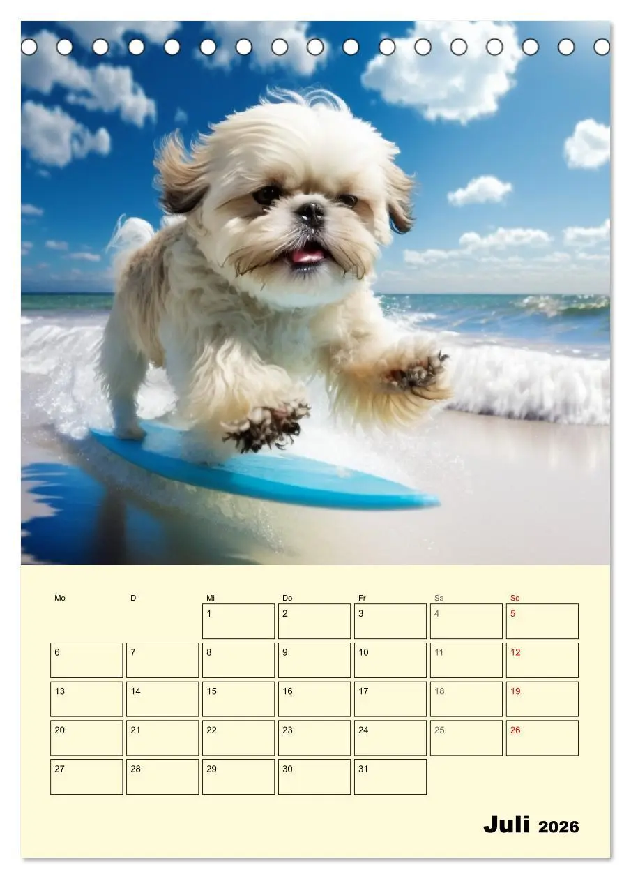 Bild: 9783516319699 | Shih Tzu Alarm. Glückliche Wuschelköpfe (Tischkalender 2026 DIN A5...