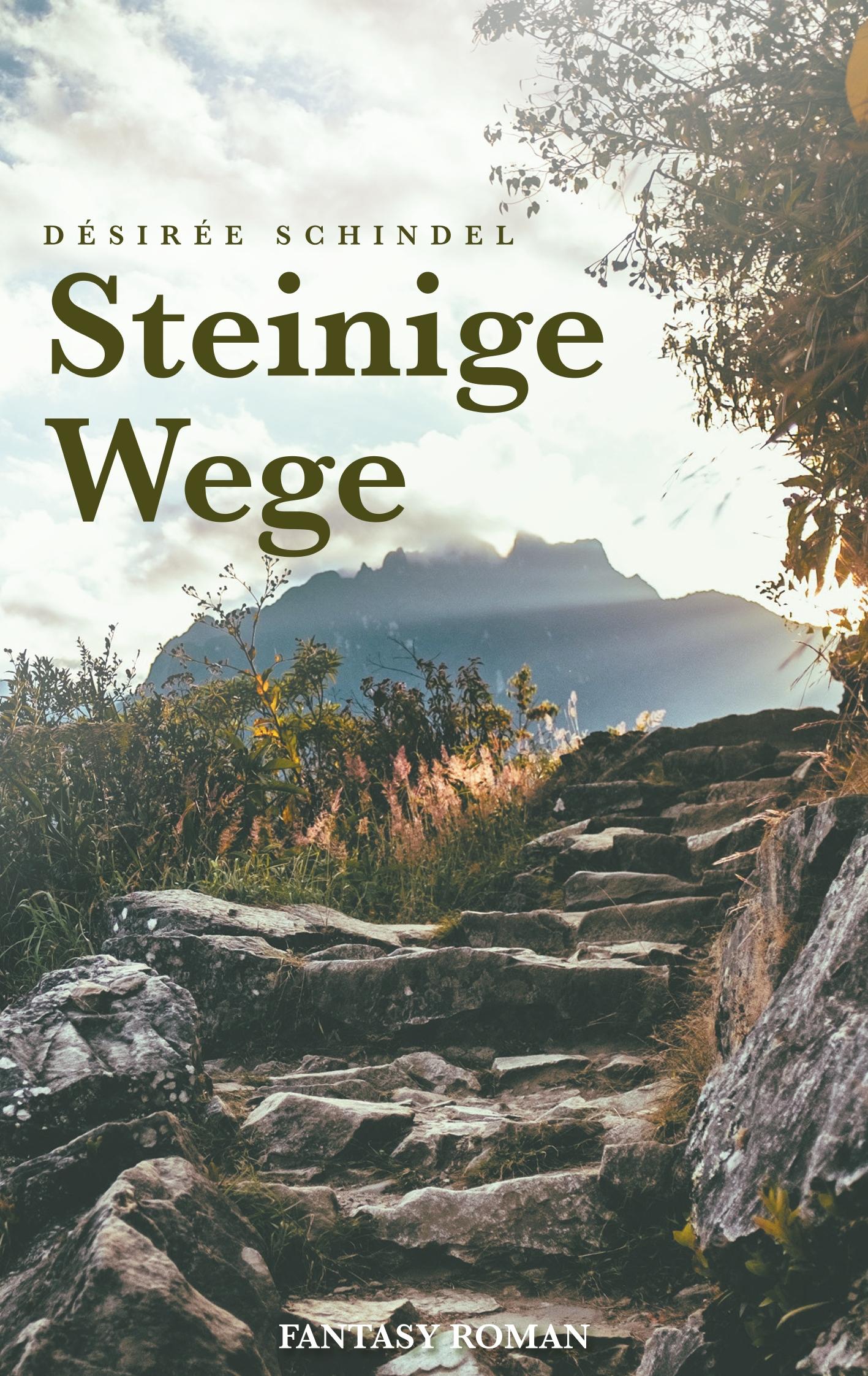 Cover: 9783734739699 | Steinige Wege | Désirée Schindel | Taschenbuch | Paperback | 416 S.