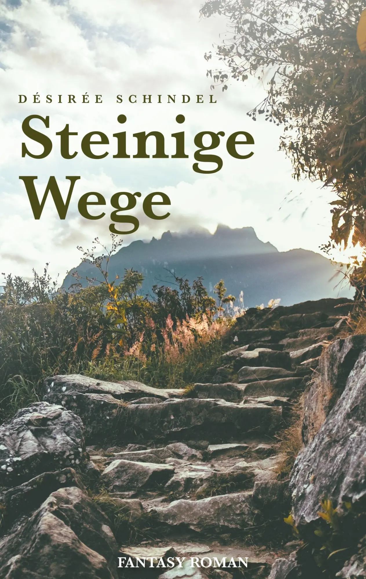 Cover: 9783734739699 | Steinige Wege | Désirée Schindel | Taschenbuch | 416 S. | Deutsch