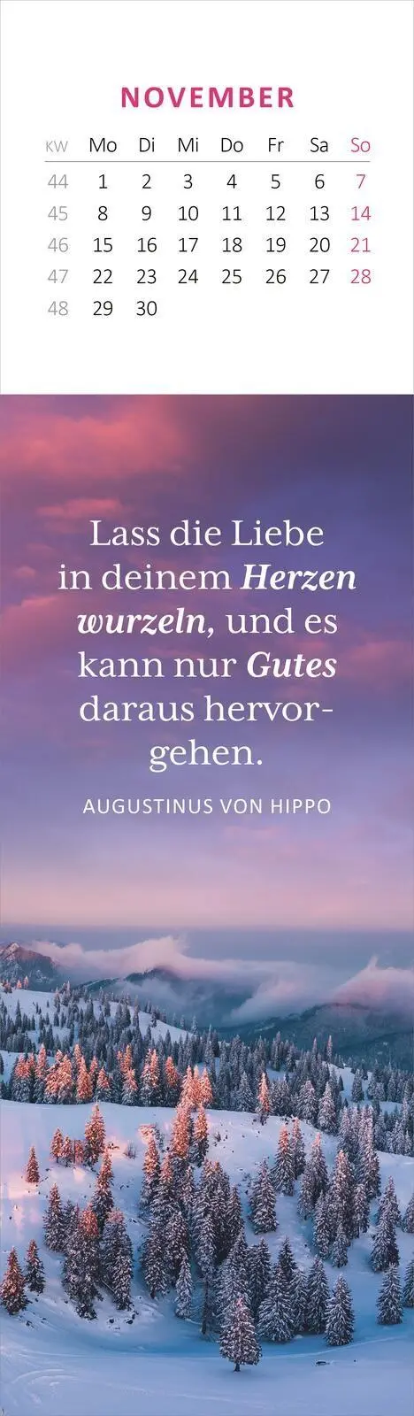 Bild: 4014489139799 | Lesezeichenkalender Weisheiten der Bäume 2027 | Kalender | 26 S.
