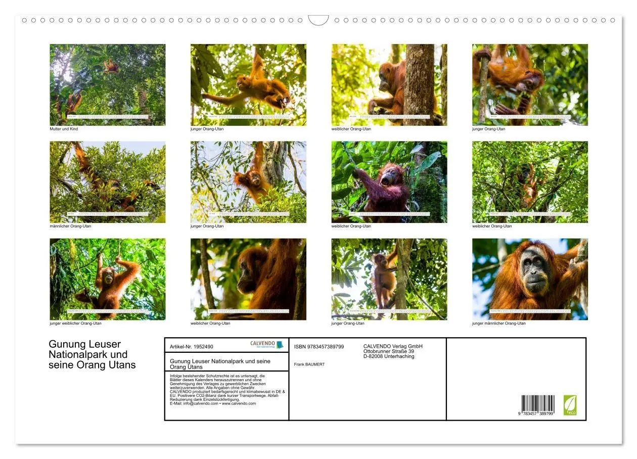 Bild: 9783457389799 | Gunung Leuser Nationalpark und seine Orang Utans (Wandkalender 2026...