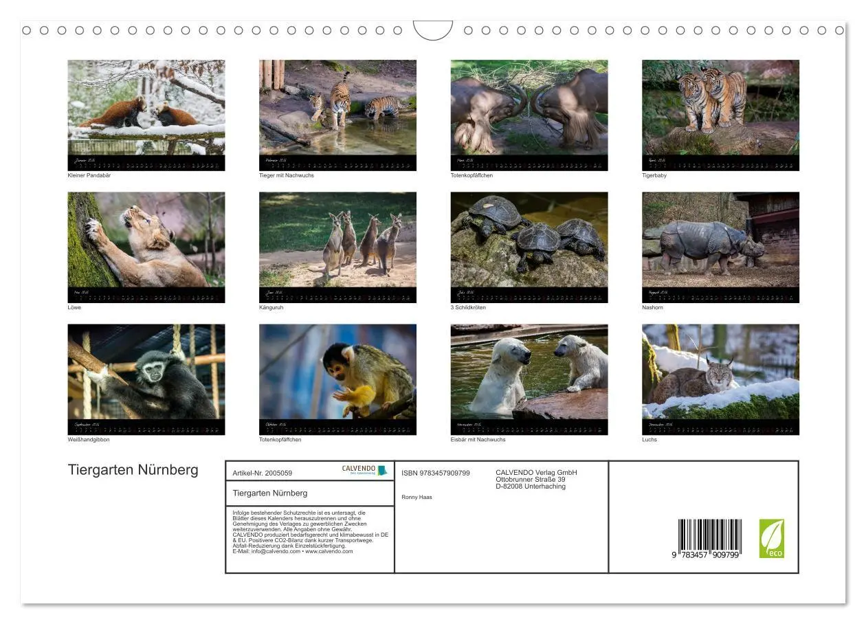Bild: 9783457909799 | Tiergarten Nürnberg (Wandkalender 2026 DIN A3 quer), CALVENDO...