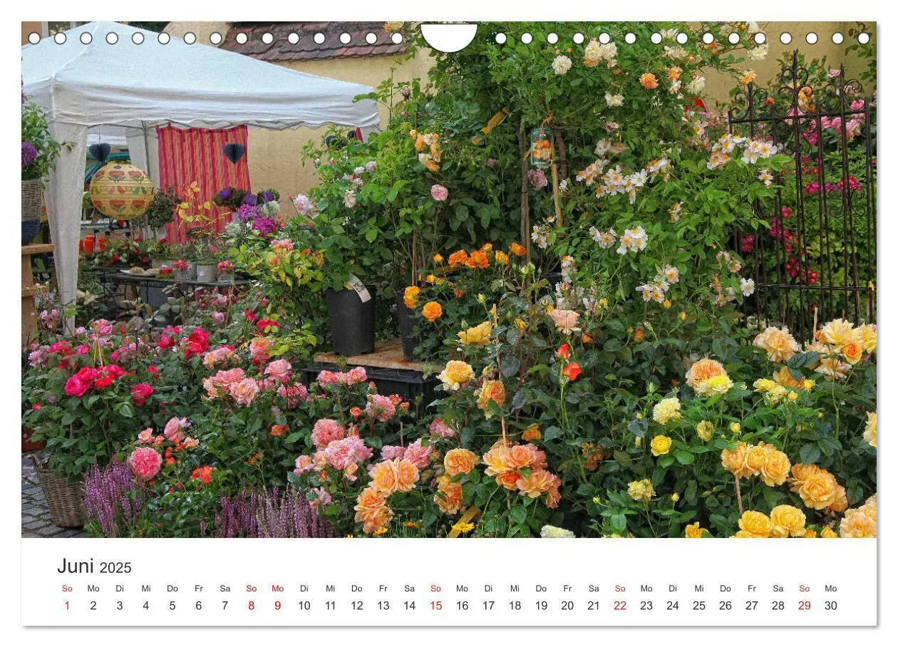 Bild: 9783435429899 | Stadtbummel im schönen Nördlingen (Wandkalender 2025 DIN A4 quer),...