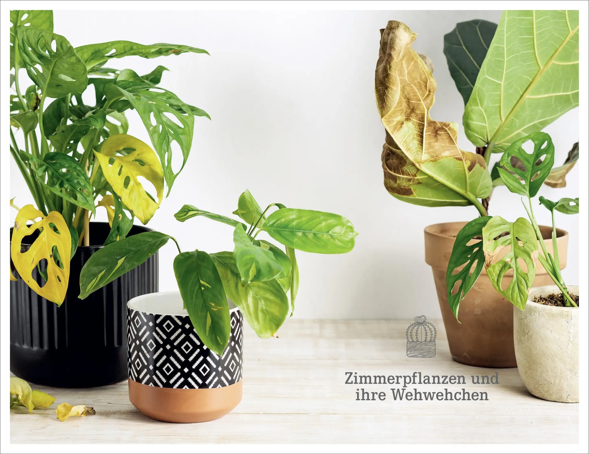 Bild: 9783838839899 | 101 Dinge, die Du über Zimmerpflanzen wissen musst | Taschenbuch