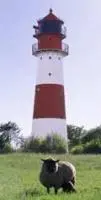 Bild: 4250000969999 | LEUCHTTÜRME an Nord- und Ostsee. Ein immerwährender Geburtstags-...