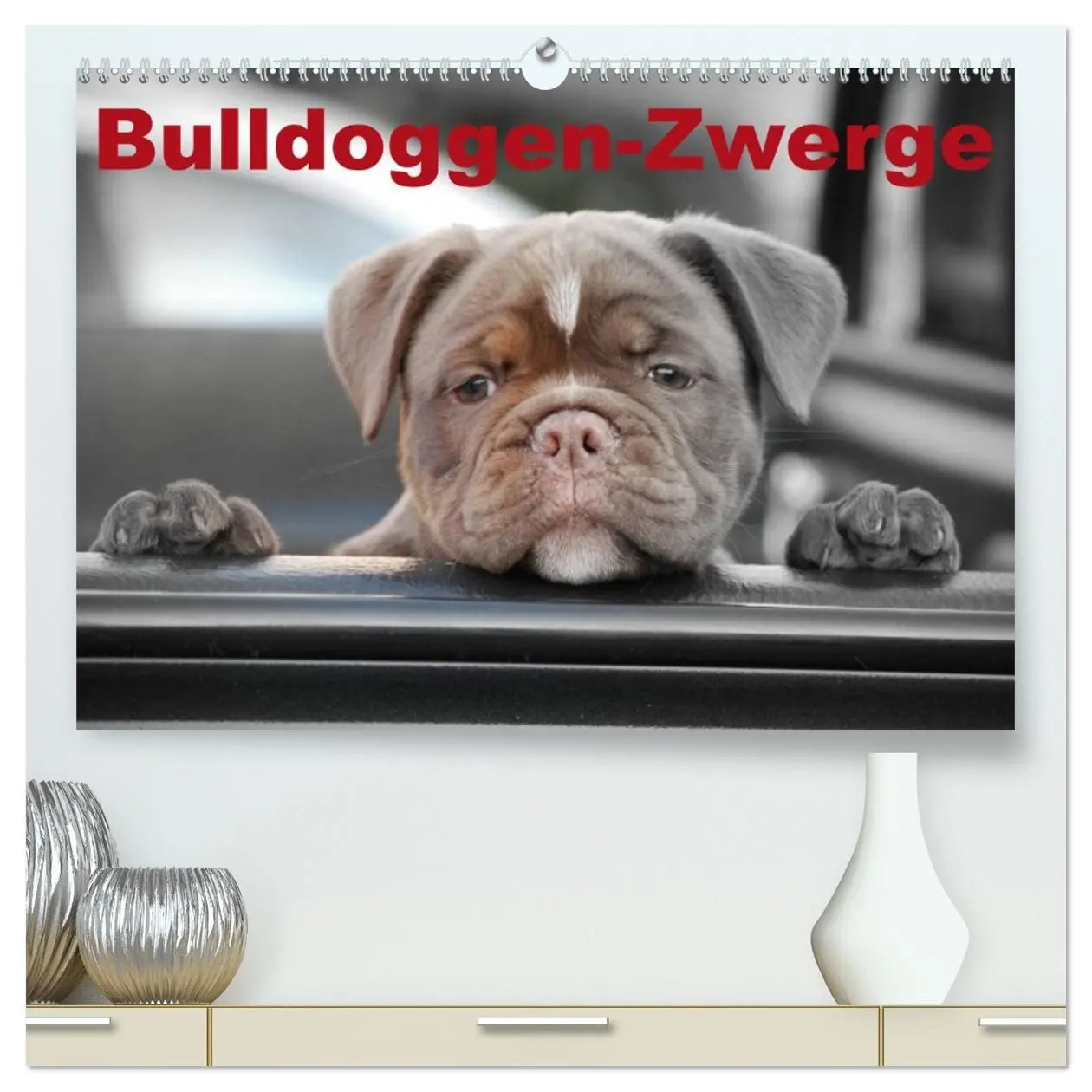 Cover: 9783516149999 | Bulldoggen-Zwerge (hochwertiger Premium Wandkalender 2026 DIN A2...